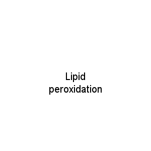 Lipid peroxidation